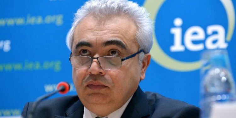 Neutralité carbone: «La Chine est une puissance en énergie propre… », selon l’AIE