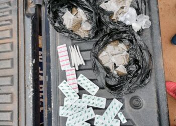 Yamoussoukro:La police saisit 500 g de cannabis aux abords des écoles