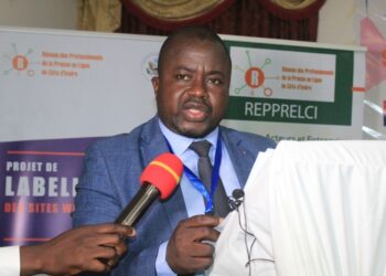 Côte d&rsquo;Ivoire/Assainissement des médias numériques: 10 sites web ivoiriens démarrent la phase pilote 