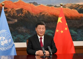 Protection de la biodiversité: Xi Jinping promet plus de plus de 131 milliards de Fcfa pour les pays en voie de développement 