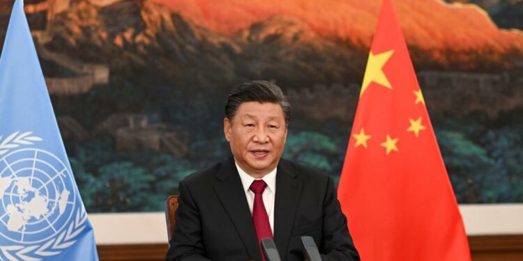 Protection de la biodiversité: Xi Jinping promet plus de plus de 131 milliards de Fcfa pour les pays en voie de développement