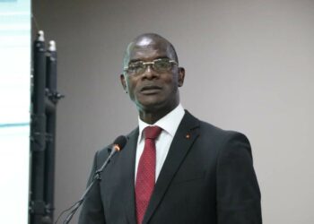 Menace sécuritaire dans l&rsquo;espace UEMOA: Vogondo Diomandé appelle à « des réponses durables aux frontières »