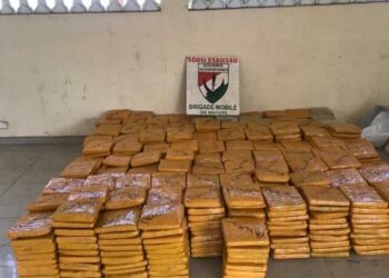 Côte d&rsquo;Ivoire: 758,4 kilogrammes de cannabis saisis à Assinie Mafia