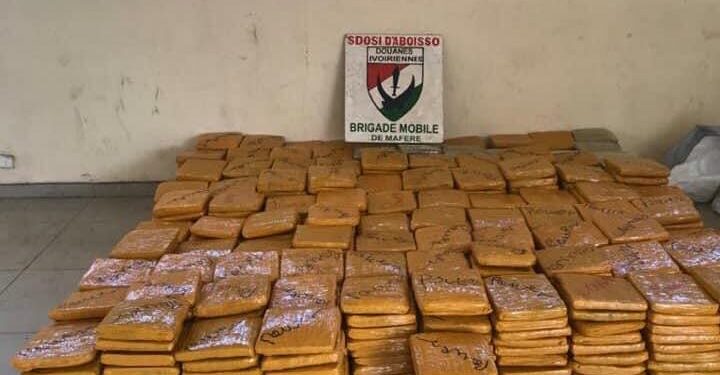 Côte d’Ivoire: 758,4 kilogrammes de cannabis saisis à Assinie Mafia