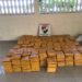 Côte d’Ivoire: 758,4 kilogrammes de cannabis saisis à Assinie Mafia
