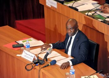 Côte d’Ivoire/Economie numérique: Quitus des députés au budget 2022 de Roger Adom