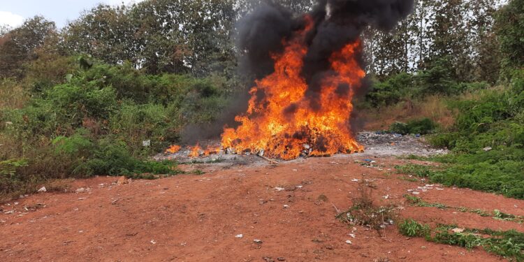 Daloa: Plus de 3 tonnes de drogues incinérées par la cellule anti drogue de la gendarmerie 