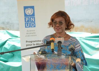 Côte d’Ivoire: Kaba Nialé réceptionne un important don du Pnud