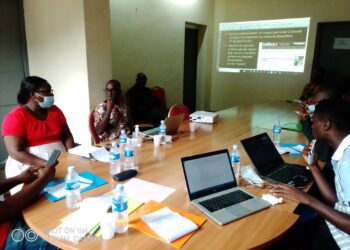 Côte d’Ivoire/Ecole du GEPCI : Des journalistes formés aux techniques d’écriture web