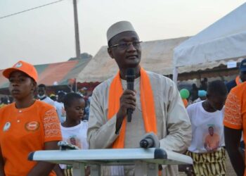 Bafing: Le canton « Finan-Barala » célèbre le ministre Moussa Sanogo