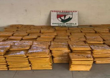 Aboisso: plus d’une tonne de cannabis saisie