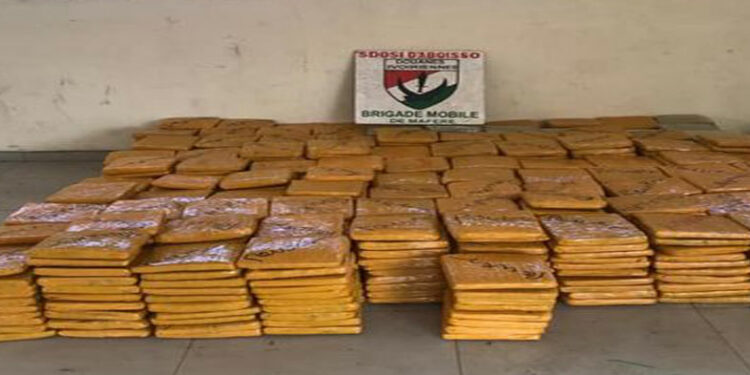 Aboisso: plus d’une tonne de cannabis saisie