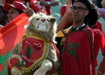 CAN 2022 au Cameroun : Découvrez les surnoms des 24 équipes