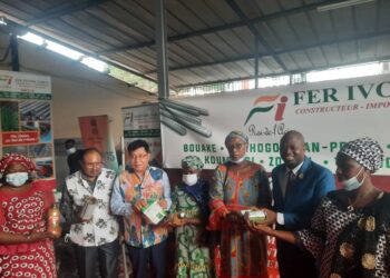 Action sociale: l&rsquo;Inde soulage les femmes de la Bagoué