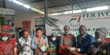 Action sociale: l&rsquo;Inde soulage les femmes de la Bagoué