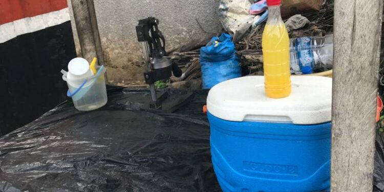 Côte d’Ivoire/Vente de jus naturel:  Voici d’où viennent les bouteilles