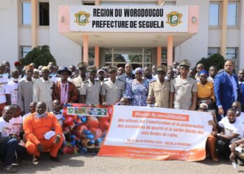 Cajou / Respect de la qualité de la noix brute: La Côte d’Ivoire en élève acharné