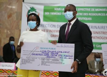 Côte d&rsquo;Ivoire: 150 éleveurs de poulets, sinistrés de la grippe aviaire reçoivent leur chèque