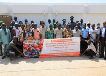 Lutte contre l’exportation illicite de la noix de cajou: Comment les comités de veille épaulent le CCA