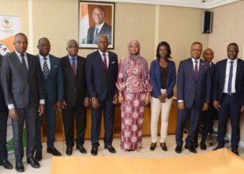 Ministère du Plan et du Développement: Le CN-ZLECAF reçu par le directeur de cabinet