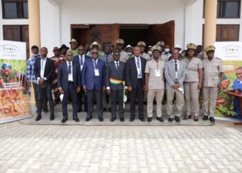 Maladies virales du Manioc: Le Centre Wave lance un programme de surveillance participative