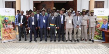 Maladies virales du Manioc: Le Centre Wave lance un programme de surveillance participative