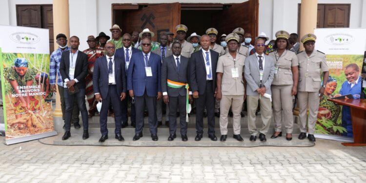 Maladies virales du Manioc: Le Centre Wave lance un programme de surveillance participative