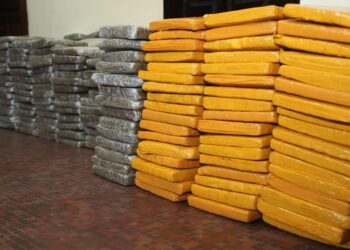 Abidjan: plus d’une demie tonne de cannabis saisie au carrefour Akwaba, de Port- Bouët.