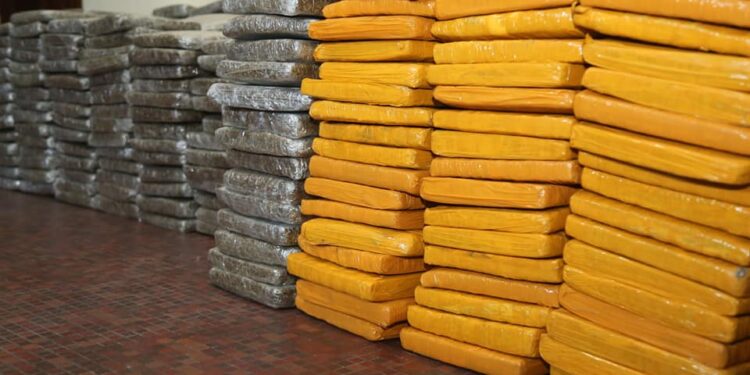 Abidjan: plus d’une demie tonne de cannabis saisie au carrefour Akwaba, de Port- Bouët.