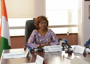 Préparatif de la TICAD 8:  Nialé KABA sollicite les investisseurs Japonais pour le financement du PND 2021-2025