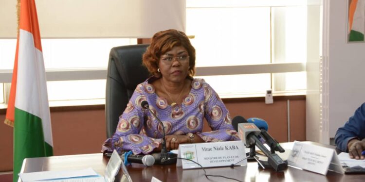 Préparatif de la TICAD 8: Nialé KABA sollicite les investisseurs Japonais pour le financement du PND 2021-2025