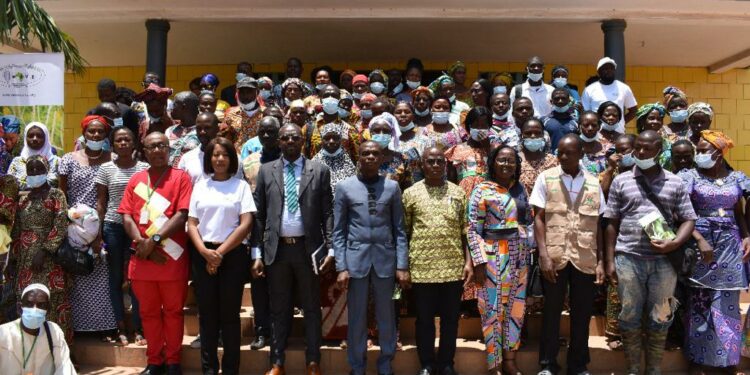 Sécurité alimentaire:Les producteurs de Gagnoa sensibilisés aux maladies virales du manioc