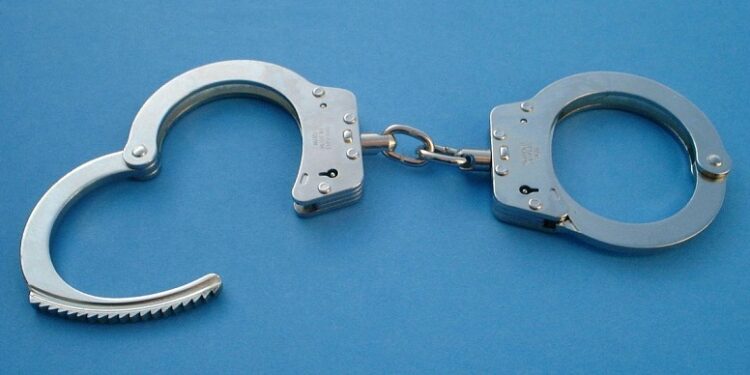 Côte d’Ivoire: Un célèbre humoriste déféré pour vol