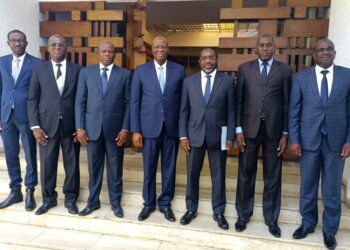 Élections locales 2023, présidentielle 2025 : Le RHDP relance sa machine électorale