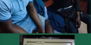 Cocody: 2 hommes arrêtés avec une mallette contenant des faux billets de banque