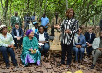 Promotion du cacao durable: Kaba Nialé et le Système des Nations Unies satisfaits des investissements