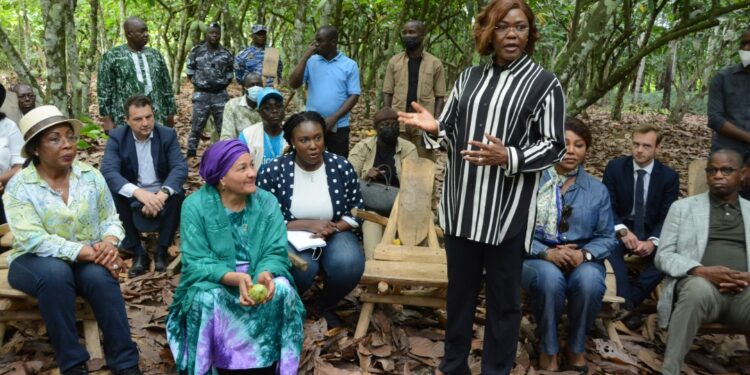 Promotion du cacao durable: Kaba Nialé et le Système des Nations Unies satisfaits des investissements