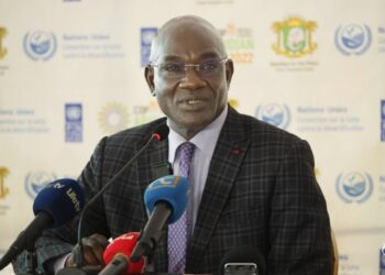 COP15/Coton:  La Côte d’Ivoire en passe de perdre sa place de 2e producteur africain, en raison des poches de sécheresse… (DG) 