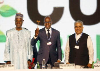 COP 15: l&rsquo;Ivoirien Alain-Richard Donwahi élu président
