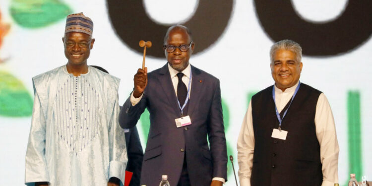 COP 15: l’Ivoirien Alain-Richard Donwahi élu président