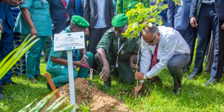 Cop 15/Restauration du couvert forestier ivoirien: environ 38 millions d’arbres plantés en 3 ans (Patrick Achi)