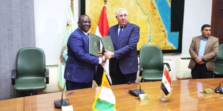 Coopération agricole: La Côte d’Ivoire et l’Egypte signent une déclaration d’intention