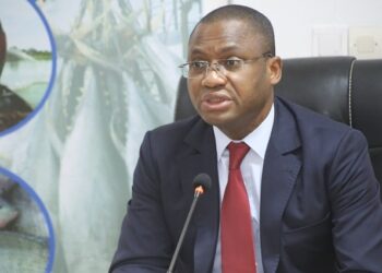 Pour lutter contre la pêche INN, la Côte d’Ivoire prône des pratiques responsables (Déclaration)