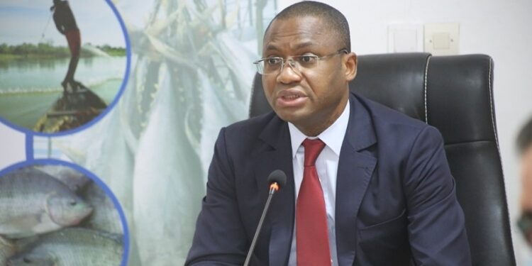 Pour lutter contre la pêche INN, la Côte d’Ivoire prône des pratiques responsables (Déclaration)