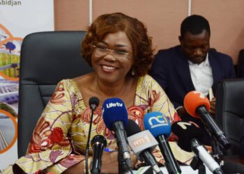 Groupe Consultatif pour le Financement du Pnd 2021-2025: Kaba Nialé présente les enjeux