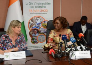 Groupe Consultatif pour le Financement du Pnd 2021-2025: Kaba Nialé présente les enjeux