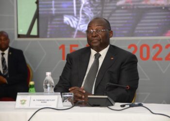 Groupe consultatif PND 2021-2025: le discours du Vice Président Tiémoko Meyliet Koné