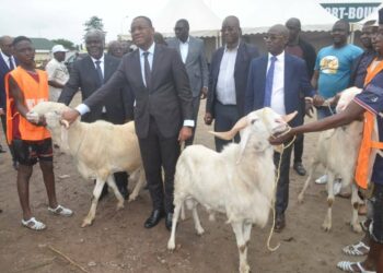 Foire de la TABASKI 2022: Trois nouveaux sites de vente s&rsquo;ajoutent à ceux de l&rsquo;an dernier