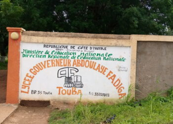 Bafing : 22,63% d&rsquo;admis au BEPC 2022