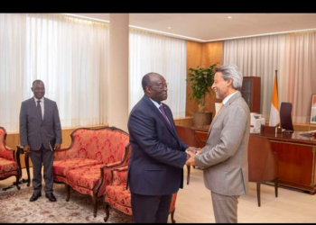 Côte d&rsquo;Ivoire : l&rsquo;Ambassadeur de l’Union Européenne fait ses adieux au vice président